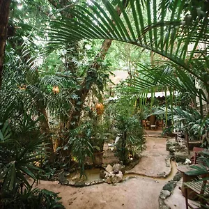 Hotel La Semilla, Playa del Carmen